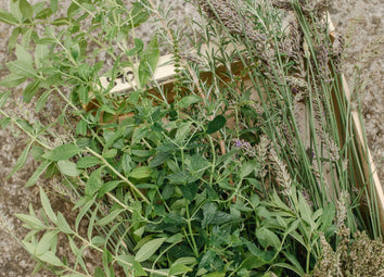 les uniques : aromatiques de terroir