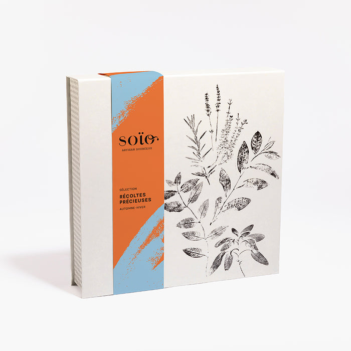 Coffret Récoltes Précieuses 45 sachets